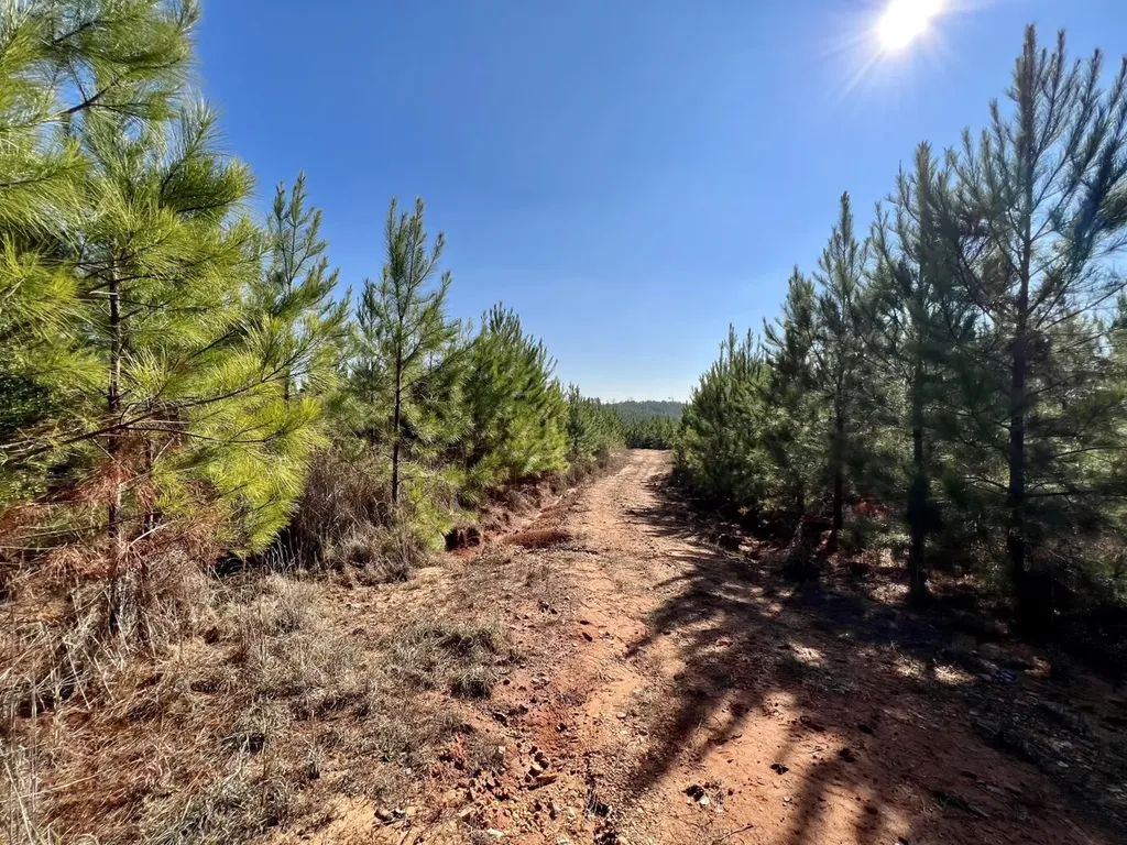 0 County Road 63 Valley Grande AL 36701