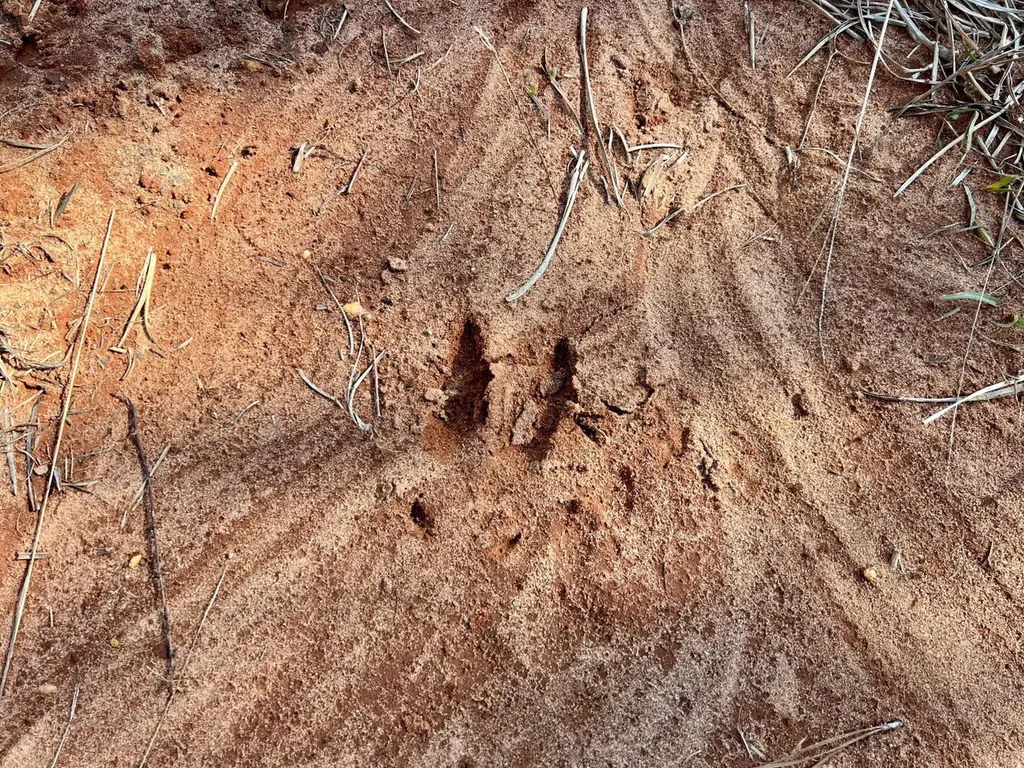 0 County Road 63 Valley Grande AL 36701