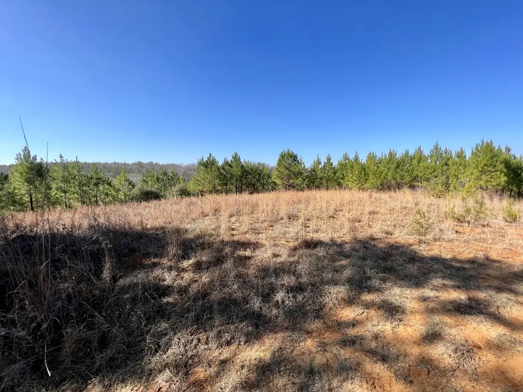 0 County Road 63 Valley Grande AL 36701