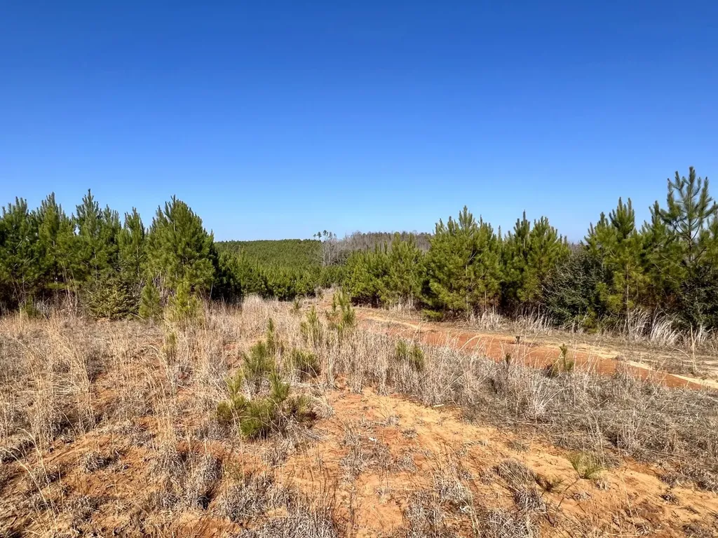 0 County Road 63 Valley Grande AL 36701