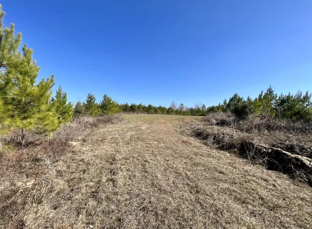 0 County Road 63 Valley Grande AL 36701