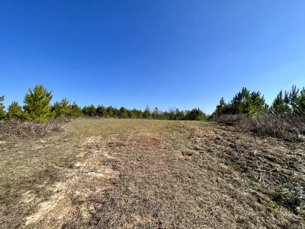 0 County Road 63 Valley Grande AL 36701