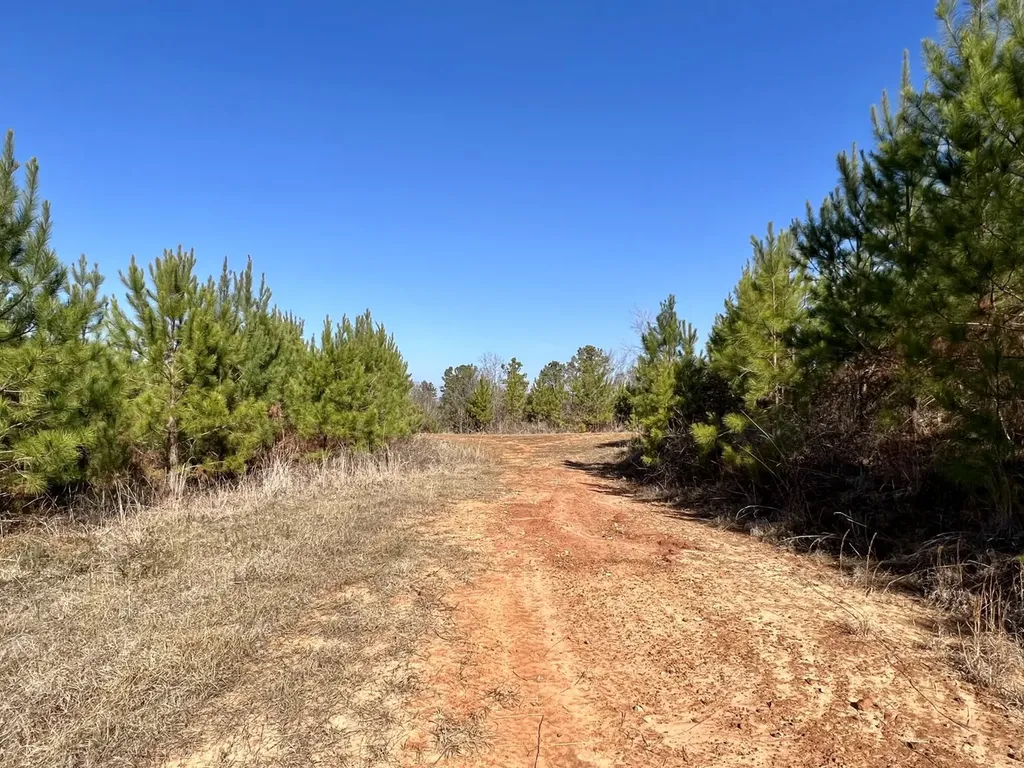 0 County Road 63 Valley Grande AL 36701