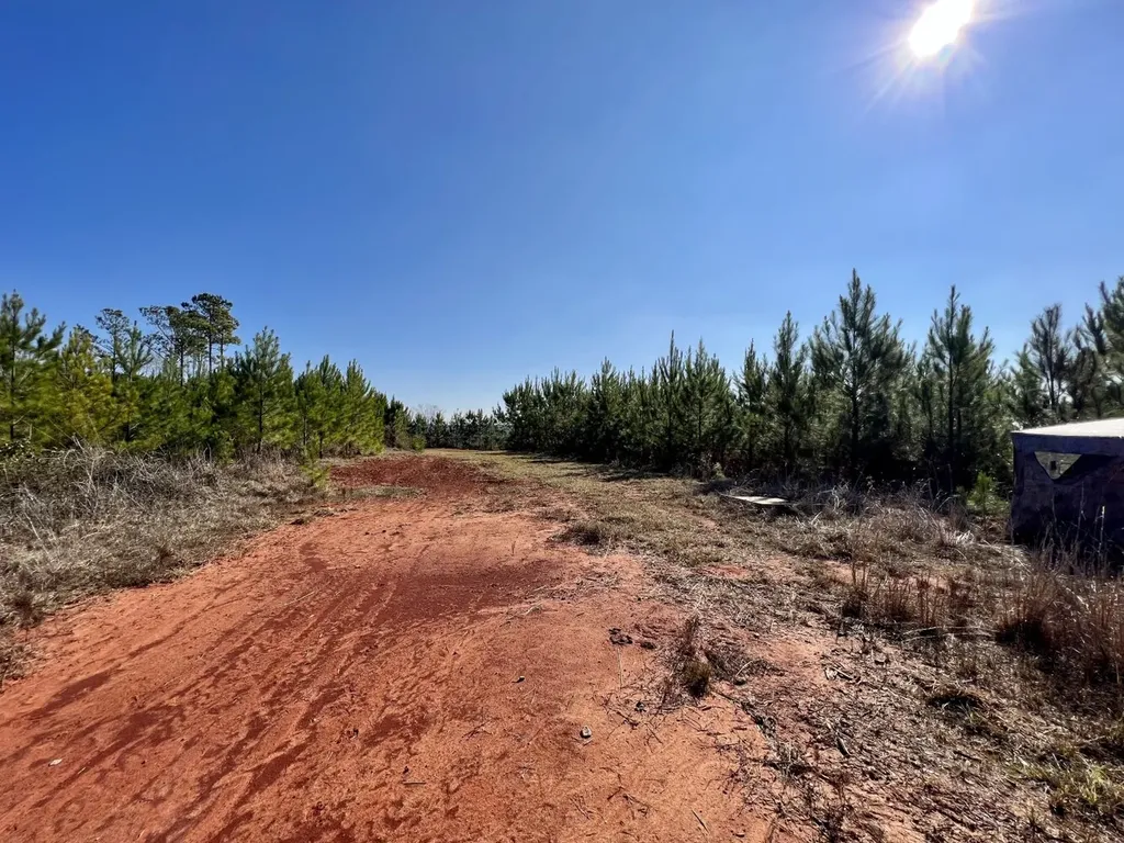 0 County Road 63 Valley Grande AL 36701