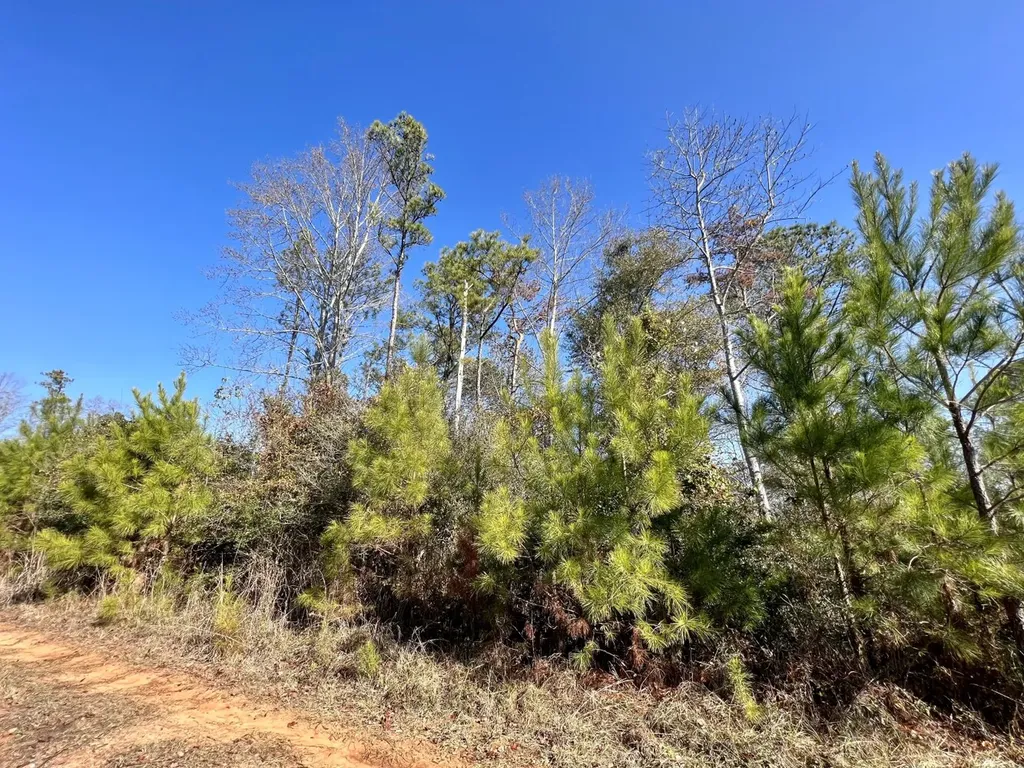 0 County Road 63 Valley Grande AL 36701