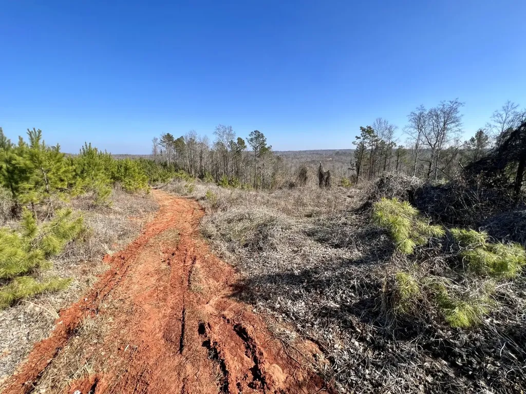 0 County Road 63 Valley Grande AL 36701