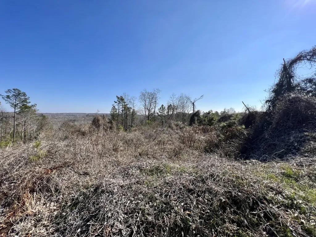 0 County Road 63 Valley Grande AL 36701