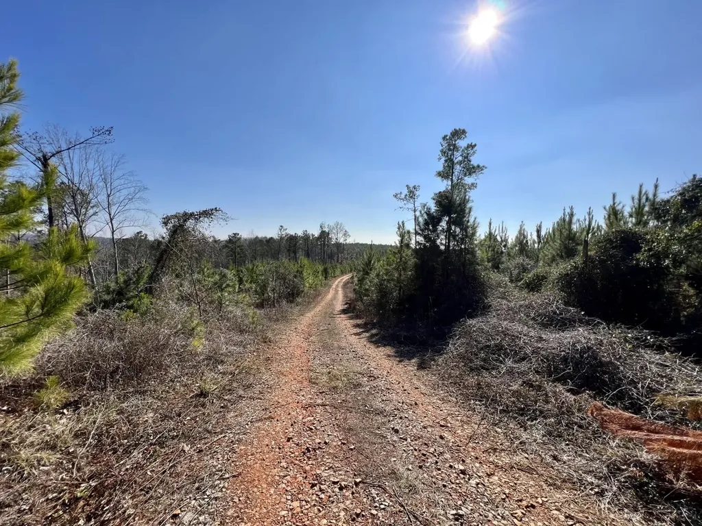 0 County Road 63 Valley Grande AL 36701