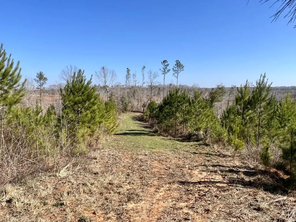 0 County Road 63 Valley Grande AL 36701