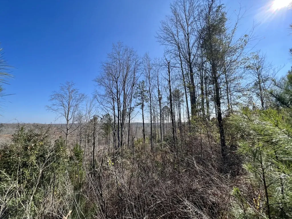 0 County Road 63 Valley Grande AL 36701