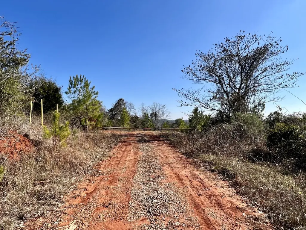 0 County Road 63 Valley Grande AL 36701