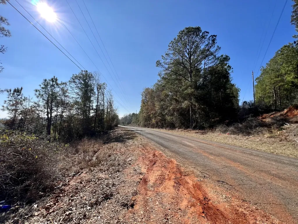 0 County Road 63 Valley Grande AL 36701