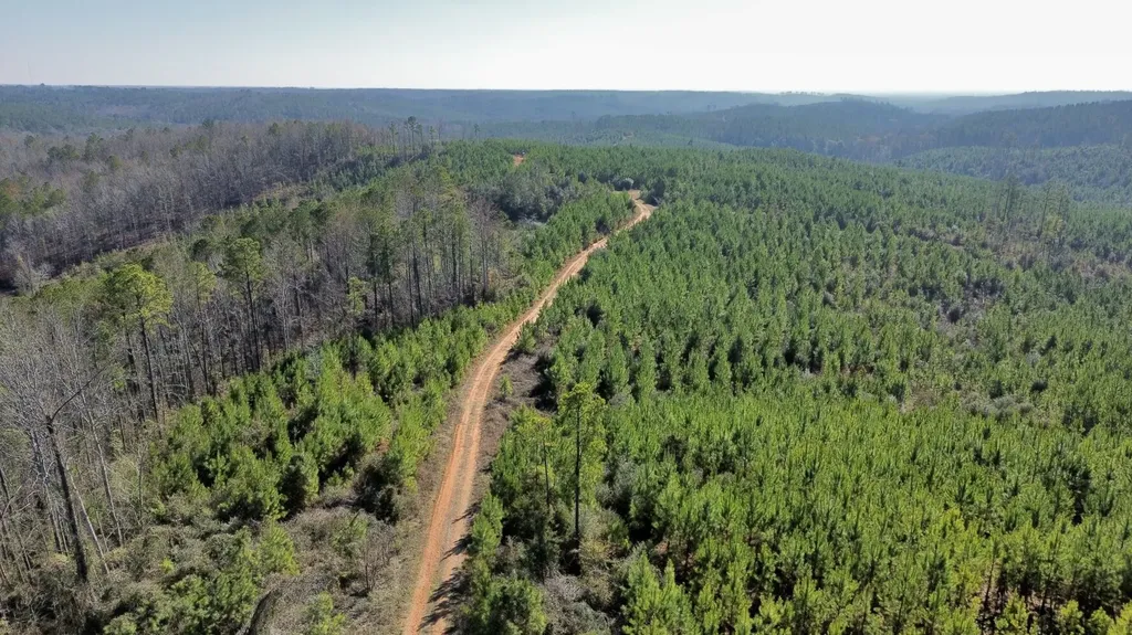 0 County Road 63 Valley Grande AL 36701