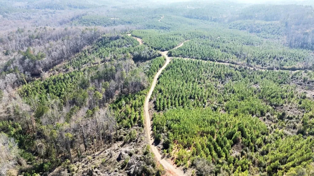 0 County Road 63 Valley Grande AL 36701