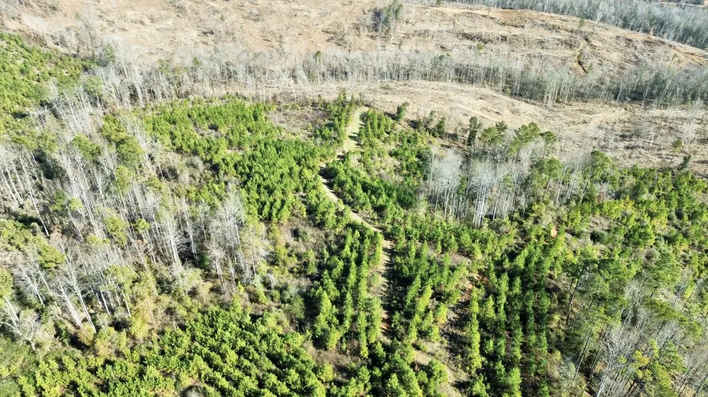 0 County Road 63 Valley Grande AL 36701