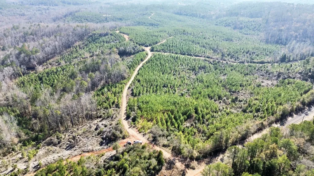 0 County Road 63 Valley Grande AL 36701