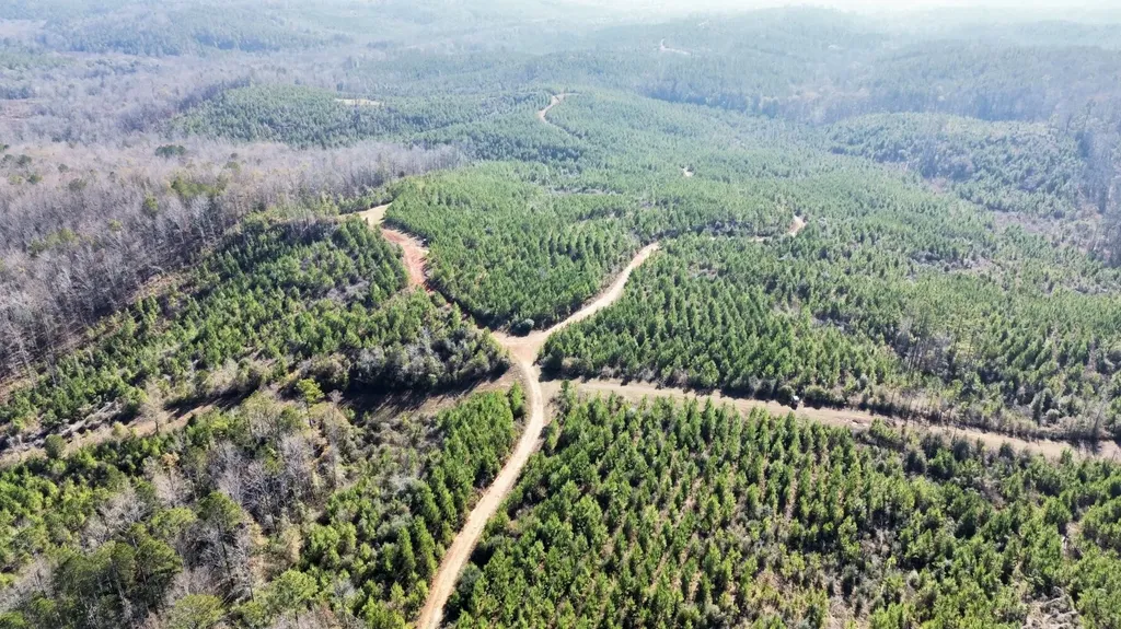 0 County Road 63 Valley Grande AL 36701