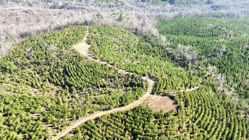 0 County Road 63 Valley Grande AL 36701