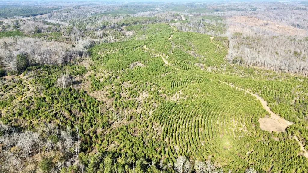 0 County Road 63 Valley Grande AL 36701