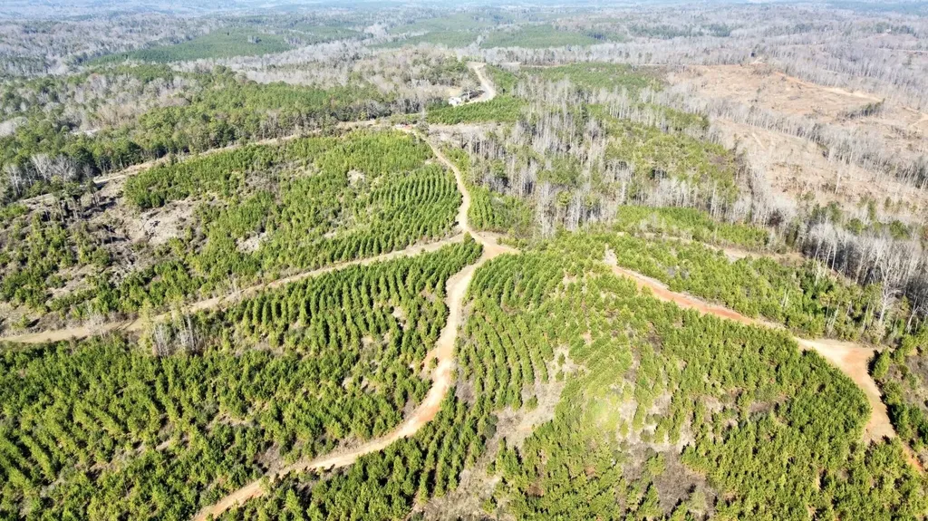 0 County Road 63 Valley Grande AL 36701