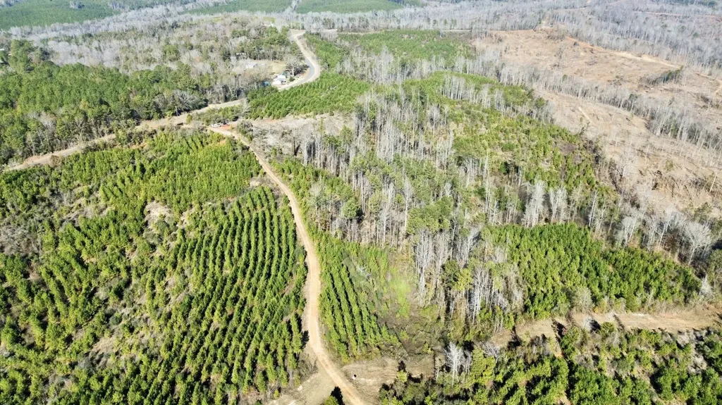 0 County Road 63 Valley Grande AL 36701