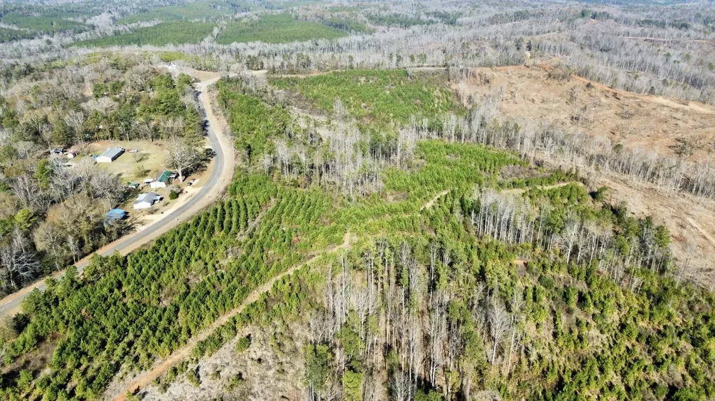 0 County Road 63 Valley Grande AL 36701