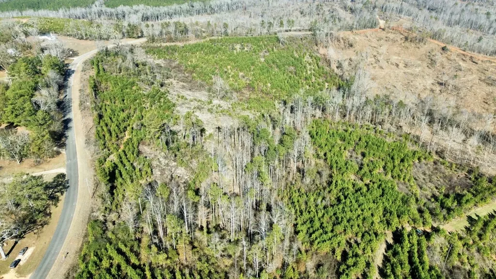 0 County Road 63 Valley Grande AL 36701