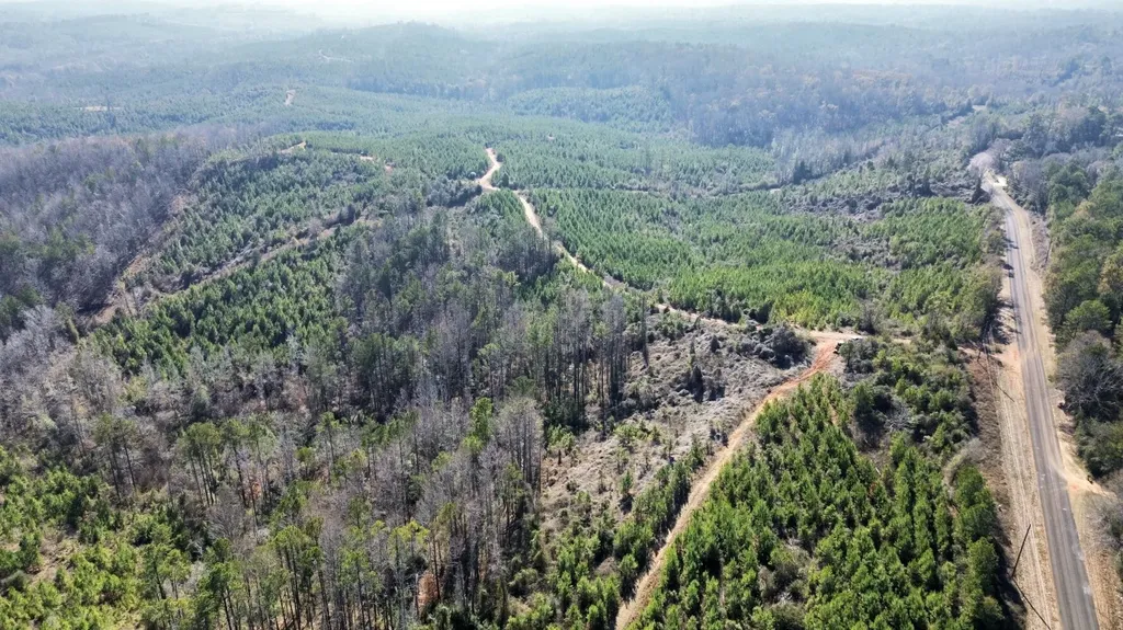 0 County Road 63 Valley Grande AL 36701