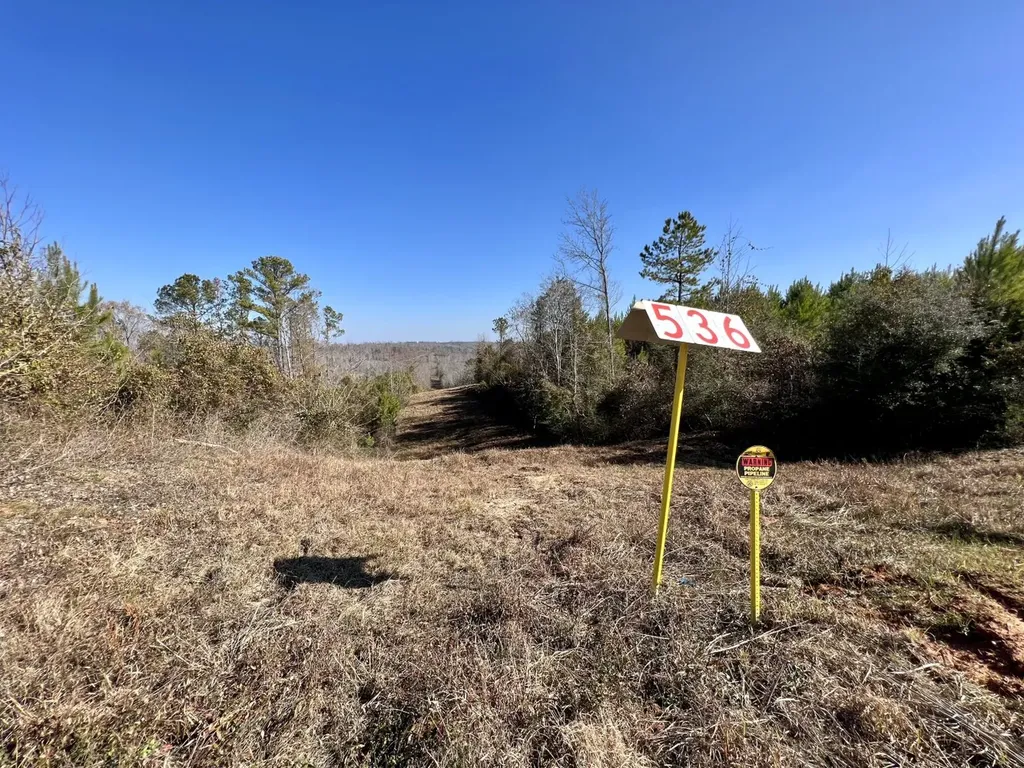 0 County Road 63 Valley Grande AL 36701