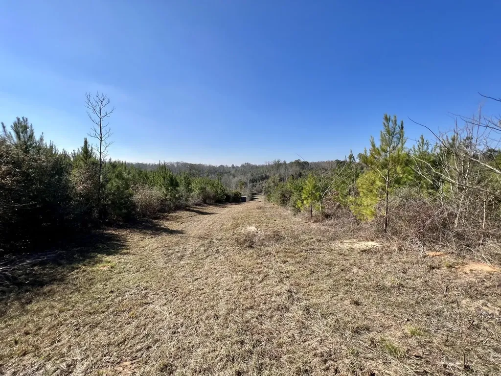 0 County Road 63 Valley Grande AL 36701