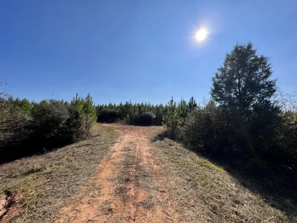 0 County Road 63 Valley Grande AL 36701