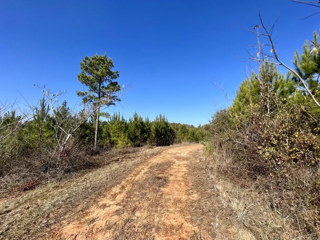 0 County Road 63 Valley Grande AL 36701