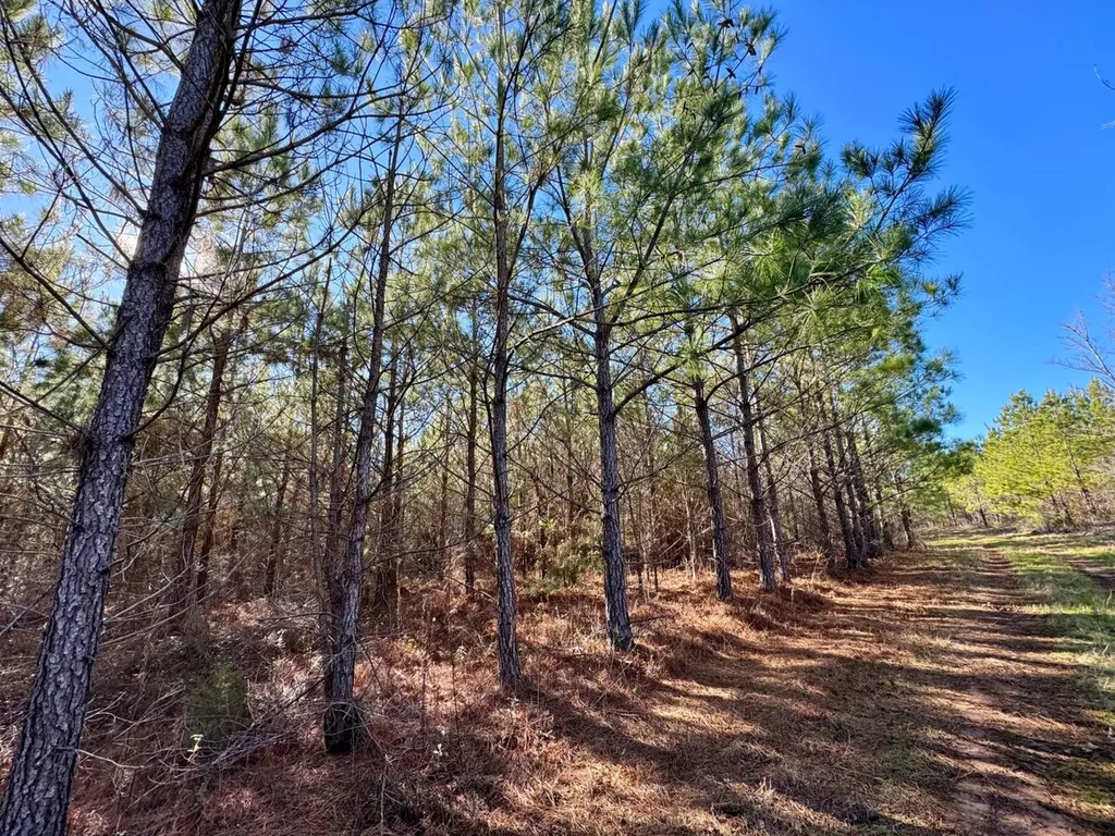 0 County Road 6 Marion Junction AL 36701