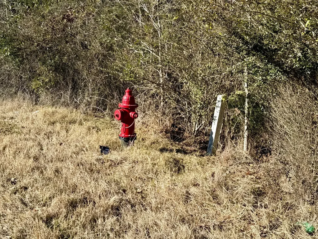 0 County Road 6 Marion Junction AL 36701