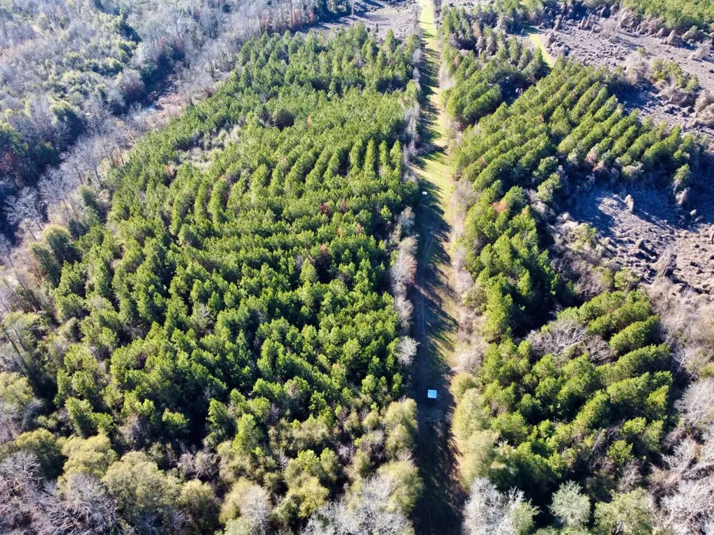 0 County Road 6 Marion Junction AL 36701