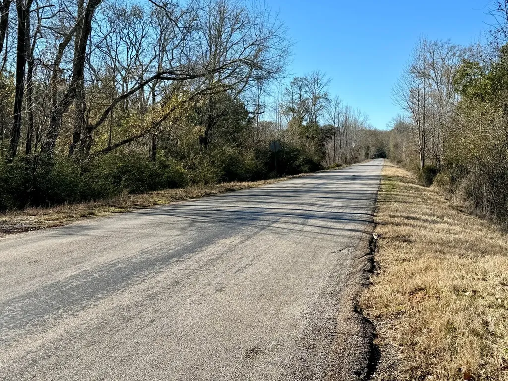 0 County Road 6 Marion Junction AL 36701