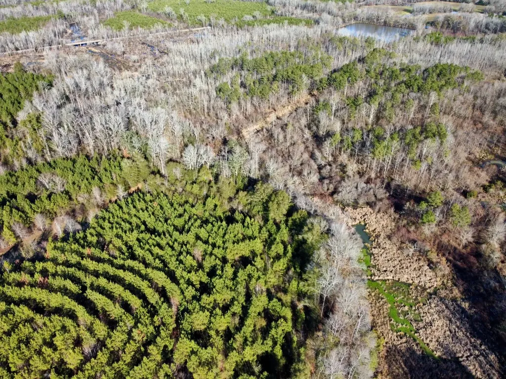 0 County Road 6 Marion Junction AL 36701