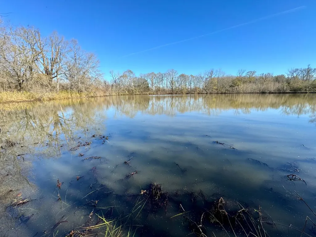 0 County Road 6 Marion Junction AL 36701