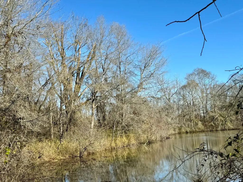 0 County Road 6 Marion Junction AL 36701