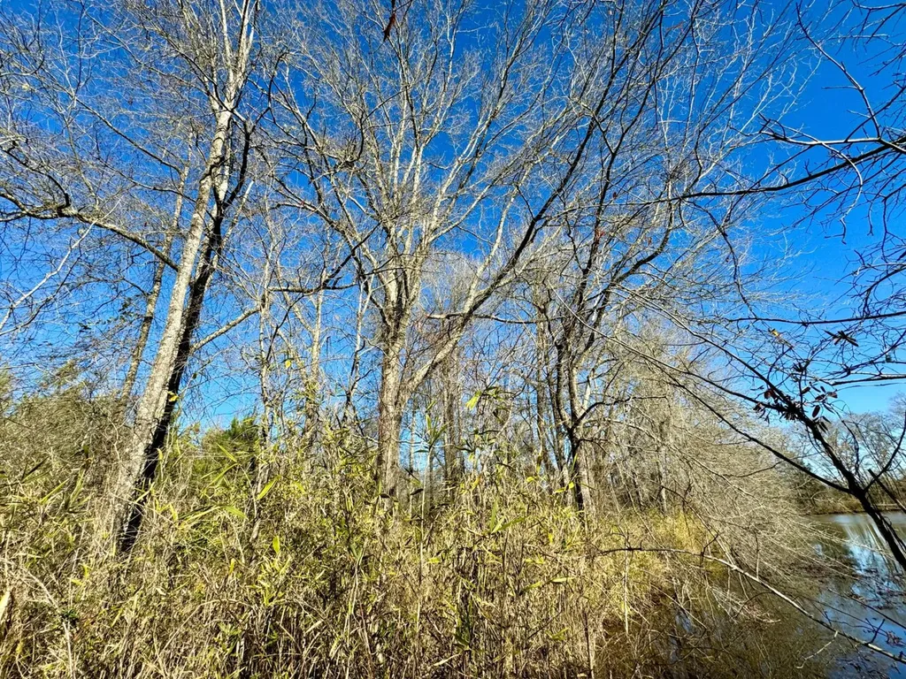 0 County Road 6 Marion Junction AL 36701