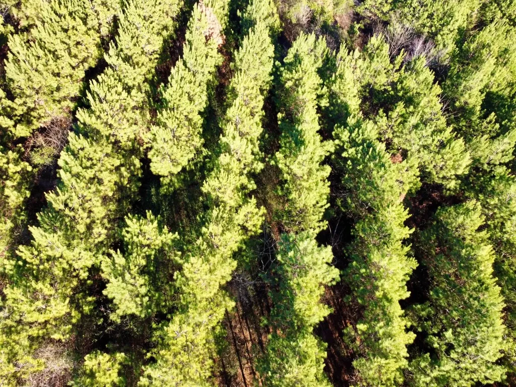 0 County Road 6 Marion Junction AL 36701