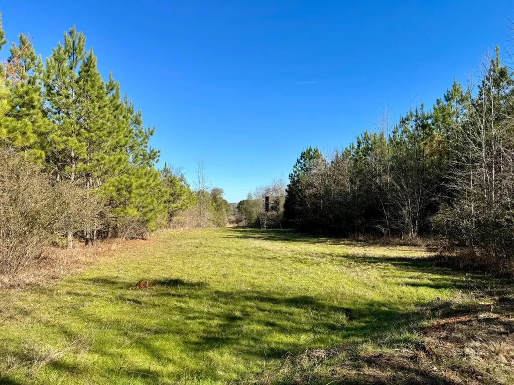 0 County Road 6 Marion Junction AL 36701