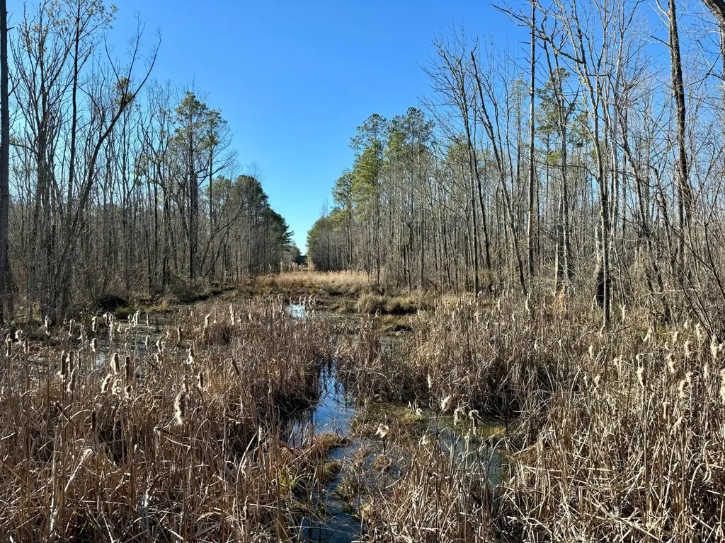 0 County Road 6 Marion Junction AL 36701