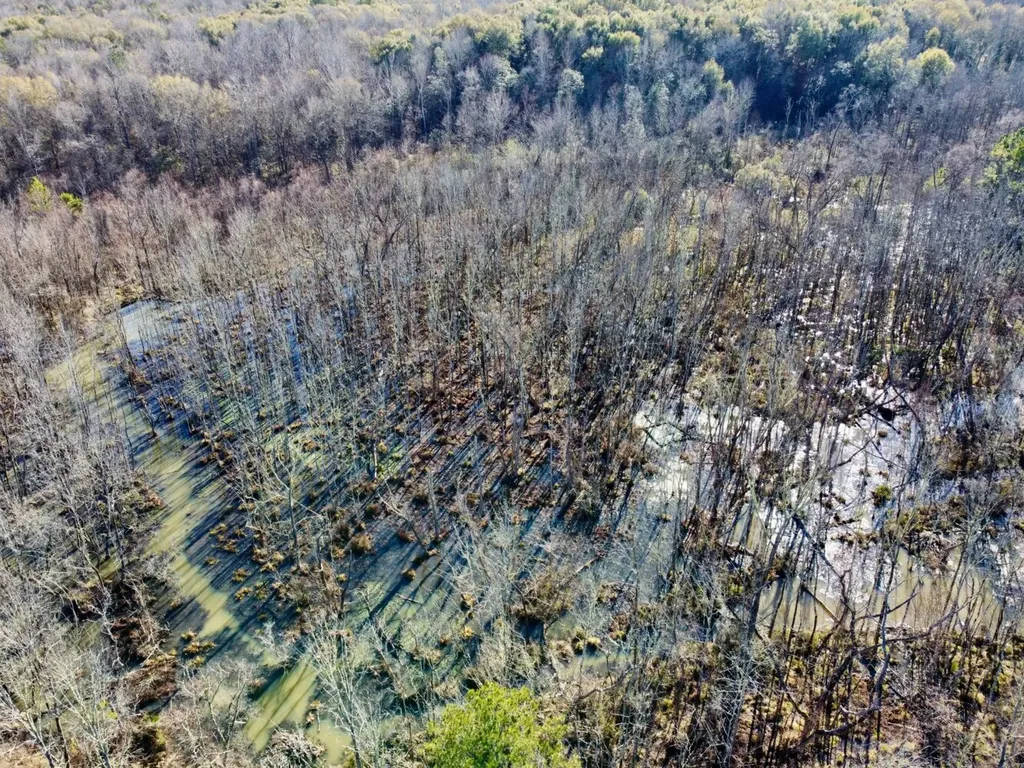 0 County Road 6 Marion Junction AL 36701