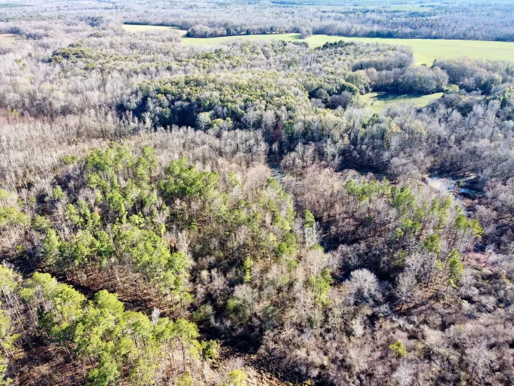 0 County Road 6 Marion Junction AL 36701