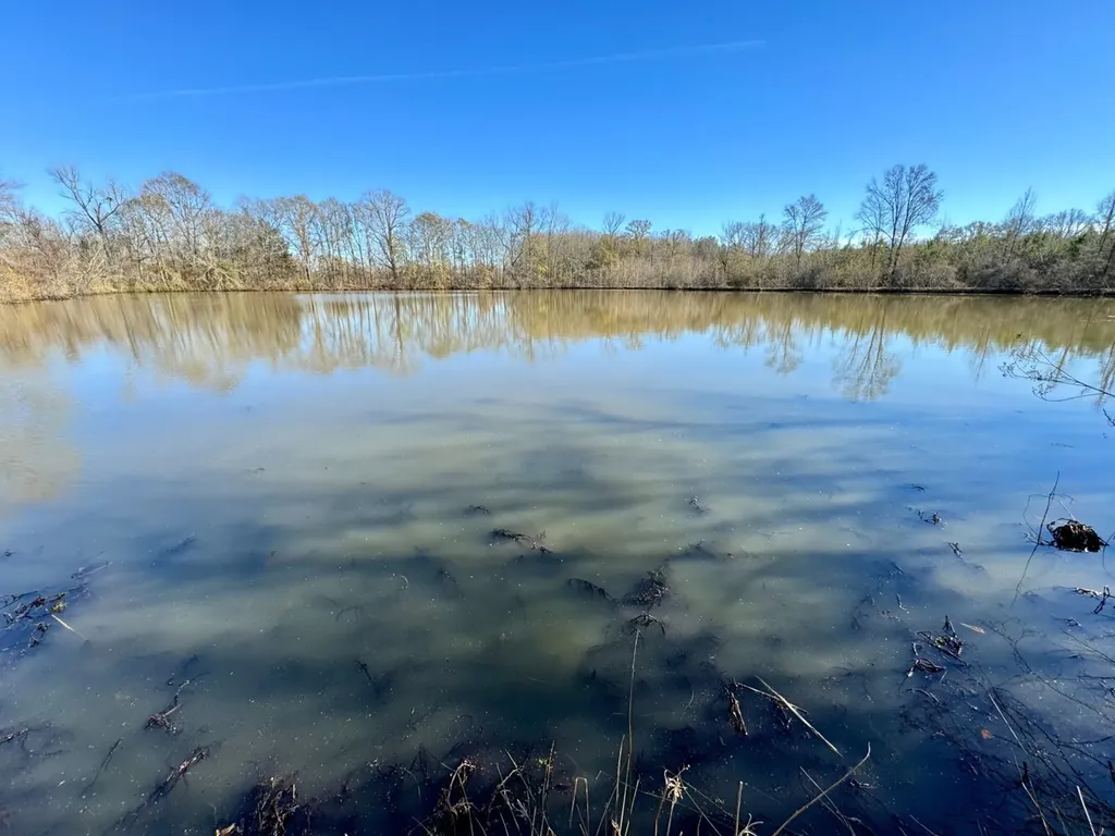 0 County Road 6 Marion Junction AL 36701