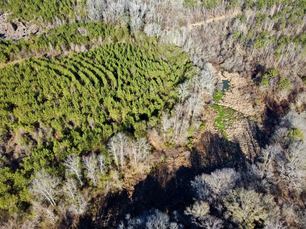 0 County Road 6 Marion Junction AL 36701