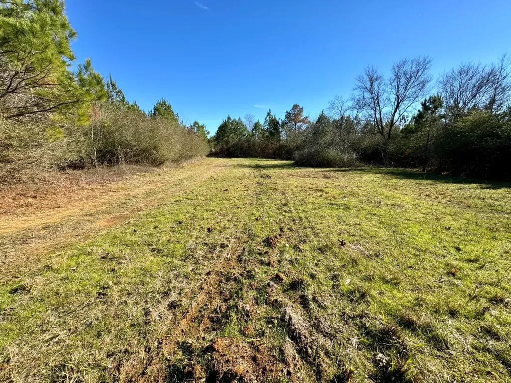 0 County Road 6 Marion Junction AL 36701