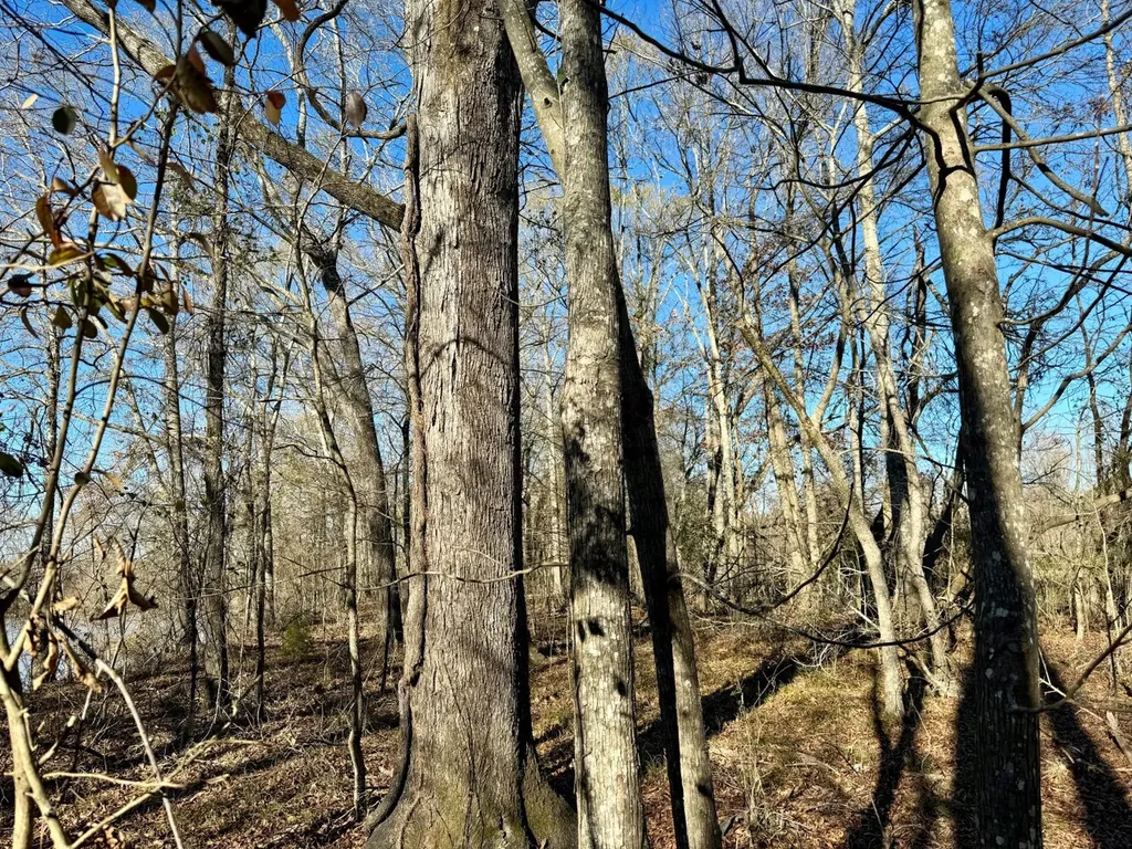 0 County Road 6 Marion Junction AL 36701