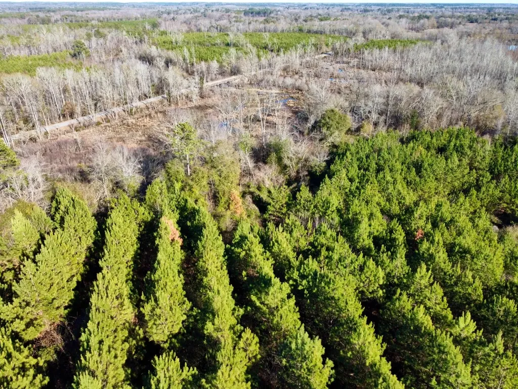 0 County Road 6 Marion Junction AL 36701